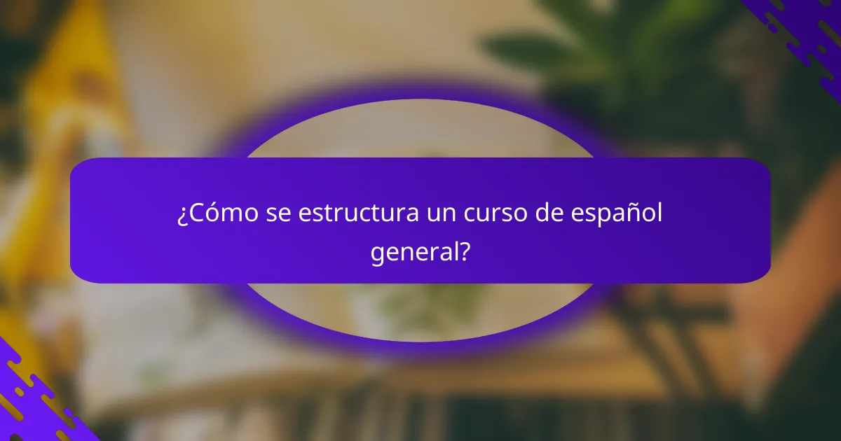 ¿Cómo se estructura un curso de español general?