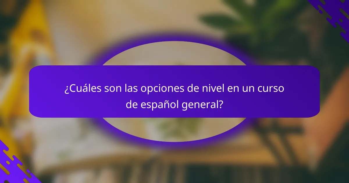 ¿Cuáles son las opciones de nivel en un curso de español general?
