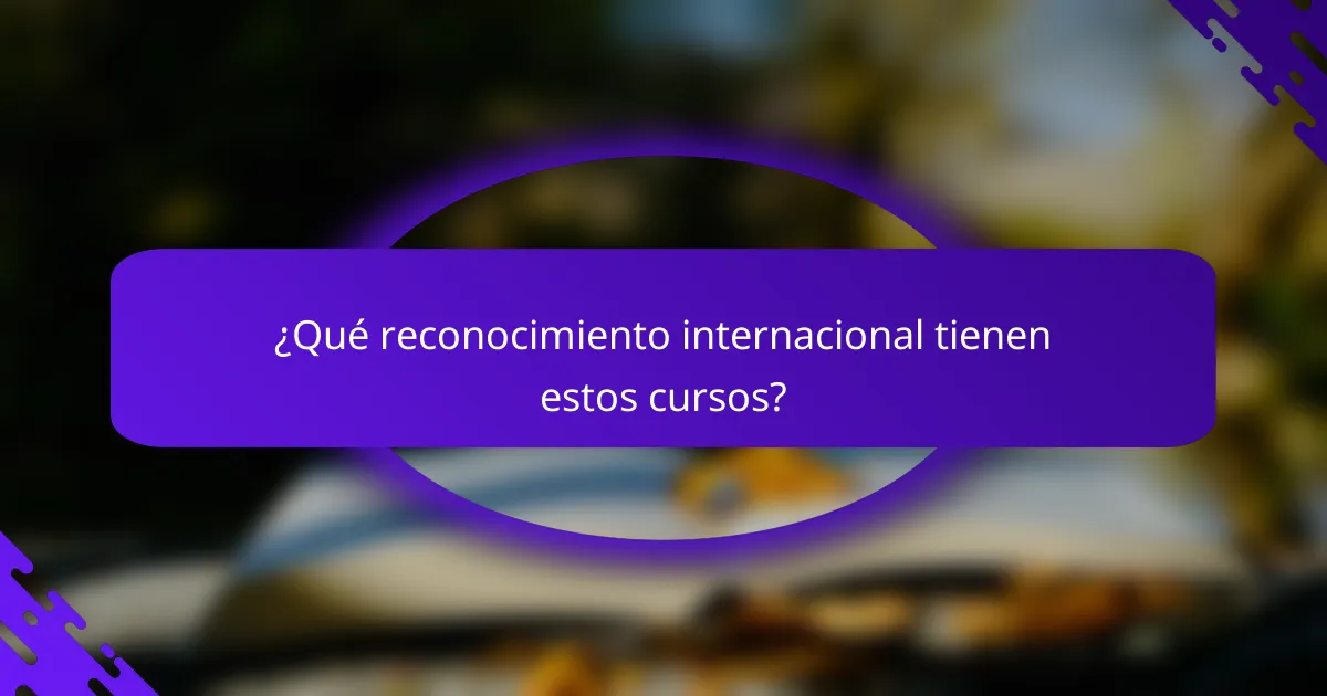 ¿Qué reconocimiento internacional tienen estos cursos?